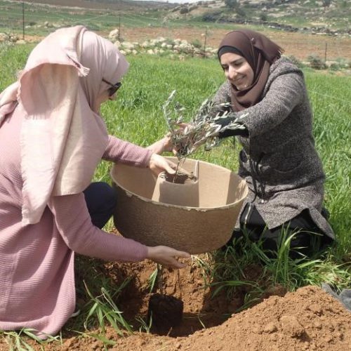 woman cocoon planting