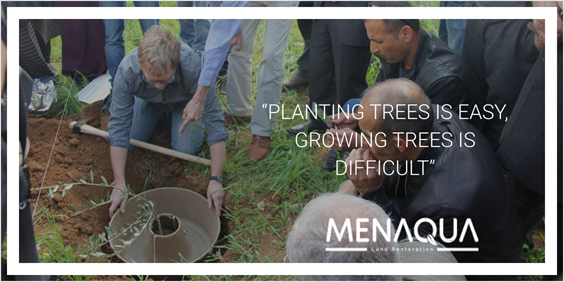 How To Plant More Trees in the MENA! Feb 2021