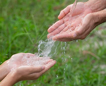 water-management-2